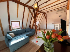 Apartament Rustic